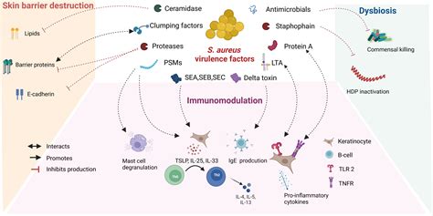 Vial of Life Pharmaceuticals Peptide Market Trends and Brand Analysis