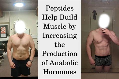 Peptides Xplosiv Technical Deep Dive Purity Specifications Manufacturing Sourcing and Certification Guide