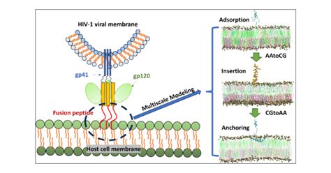 Collagen Peptide Powder Purity Specifications and Manufacturing Sourcing Guide for B2B Formulators