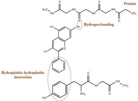 Peptide Ranker Technical Deep Dive Purity Specifications Manufacturing Sourcing Certification Guide