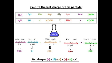 Peptide 141 Technical Deep Dive Purity Specifications Manufacturing Sourcing and Certification Guide