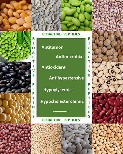 AIO Peptides Technical Deep Dive: Purity, Specifications, Manufacturing & Sourcing for Labs