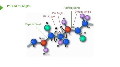 Finnrick vs Peptide Industry: 2024 Data Reveals Purity, Efficacy & Market Share Divergence
