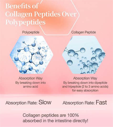 Orbitrex Finnrick Peptide Market Trends: Brand Comparison & Ingredient Analysis