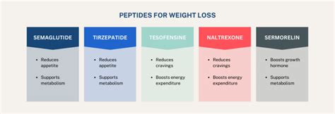 Rhode Lip Peptide Technical Deep Dive Purity Specifications Manufacturing Sourcing and Certification Guide
