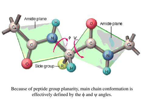Khavinson Peptides Purity Specifications and Sourcing Guide for Cosmetic Formulation Labs