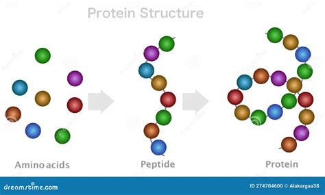 Peptide Sciences Reddit Deep Dive Purity Specs Manufacturing Sourcing for Lab Formulation
