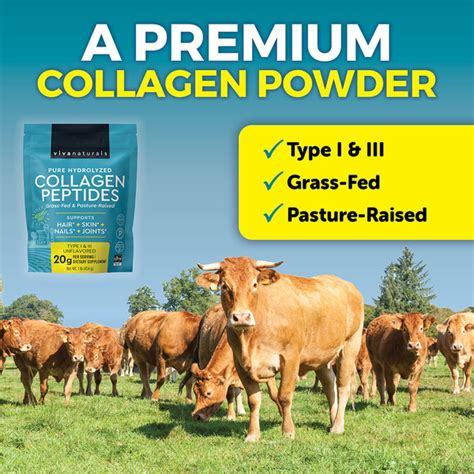 Costco Collagen Peptides Sourcing Guide Purity Specifications Manufacturing Certifications for B2B Wholesale