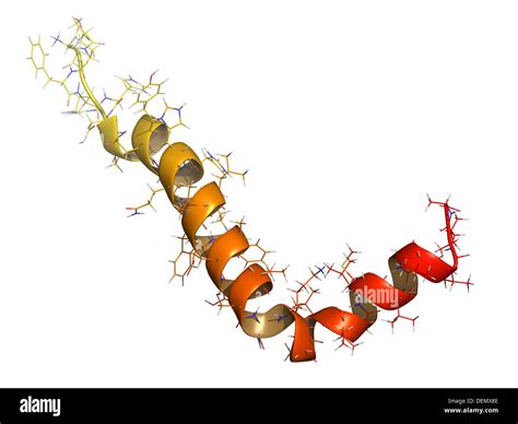 Side Effects of Peptides: Purity, Manufacturing & Sourcing Specifications for Labs