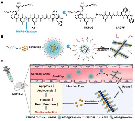 GLP 1 Peptide Purity and Manufacturing Specifications for Lab and Cosmetic Formulation Sourcing